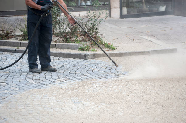 Best Roof Washing  in Waterman, IL